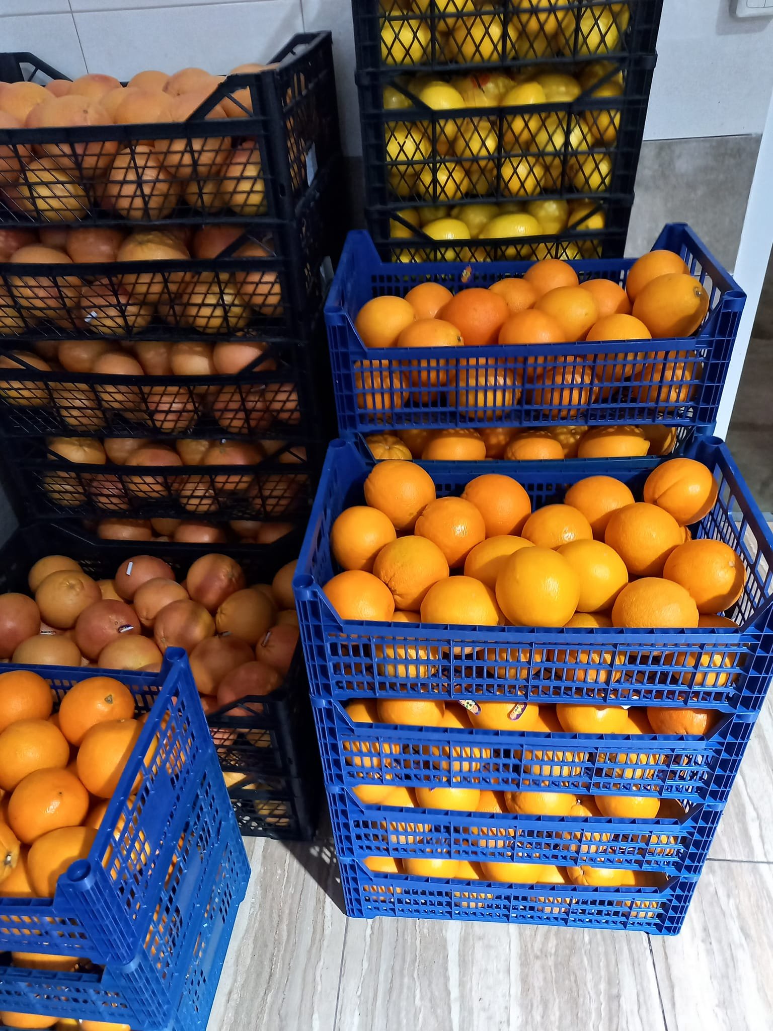 Fresh Ingredients